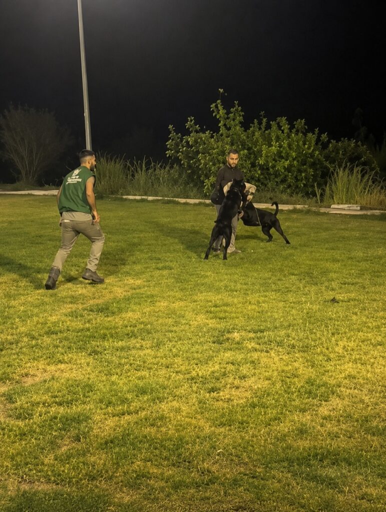 Tactical Handling