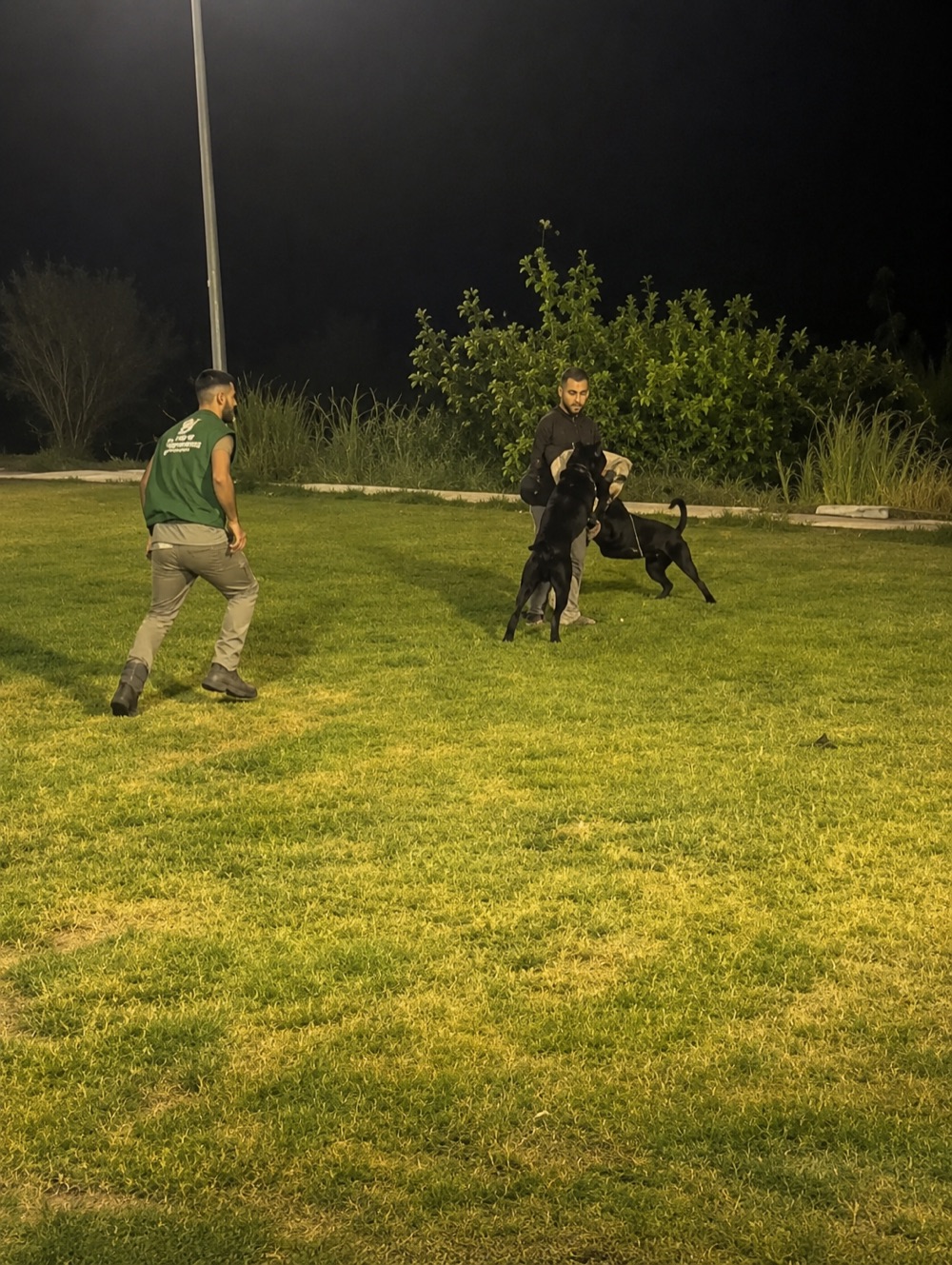 Tactical security dog and handler during an exercise